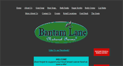 Desktop Screenshot of bantamlane.com